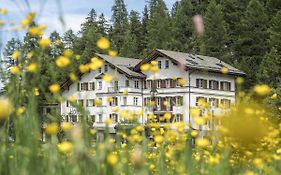 Hotel Maria